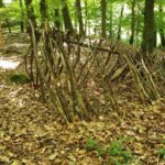 Gerüst einer Laubhütte im Buchenwld - Survival Techniken lernen mit der WildnisGemeinschaft