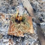 Ein Zundernest brennt nach dem Feuerbohren - Erfolg beim Feuer machen ohne Streichhölzer
