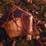 Selbstgemachte Schnur aus Weidenbast - Naturhandwerk beim Wildnistreffen