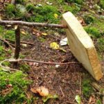 Falle für Kleintiere - wir lernen native Techniken - natürlich nur theoretisch - beim Treffen der WildnisGemeinschaft