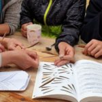 im Wald gefundene Federn bestimmen - eine wundervolle Gemeinschaftserfahrung beim Sommertreffen