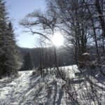 Winter Wanderung im verschneiten Süddeutschland - Sonnenschein im Mischwald bei Schnee