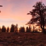 Sonnenaufgang auf dem Verlorenen Schachten