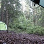 Blick auf ein Zelt im Wald bei Regen - Treffen der WildnisGemeinschaft