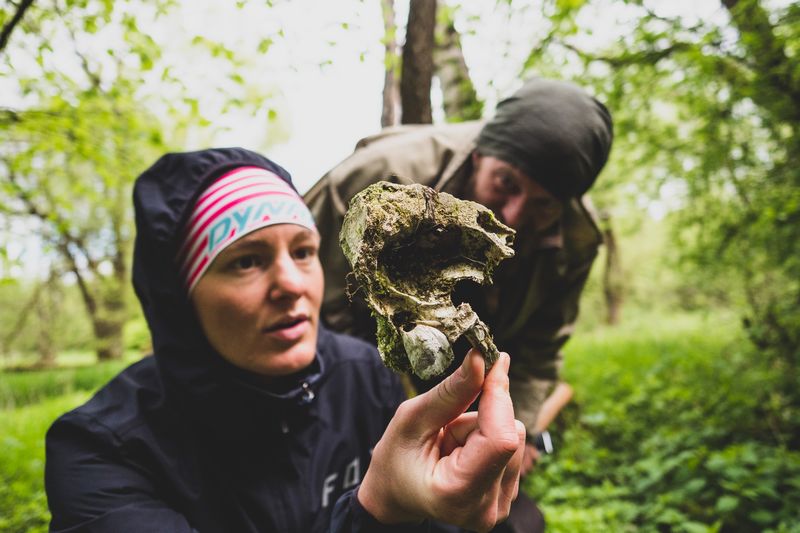 Knochenfund im Wald - Spurenlesen mit der WildnisGemeinschaft